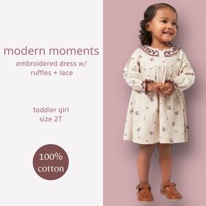 NWT Modern Moments by Gerber Toddler Girl Dress w/ Neck Ruffle & Embroidery 2T